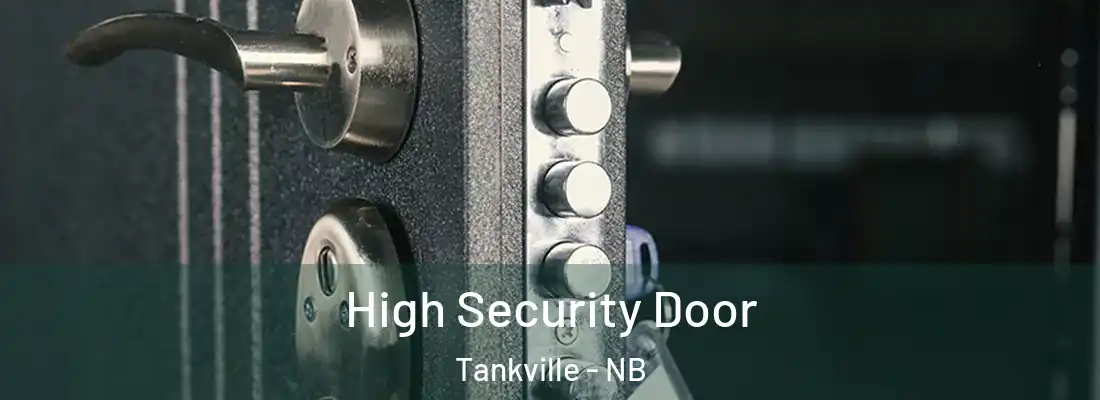  High Security Door Tankville - NB