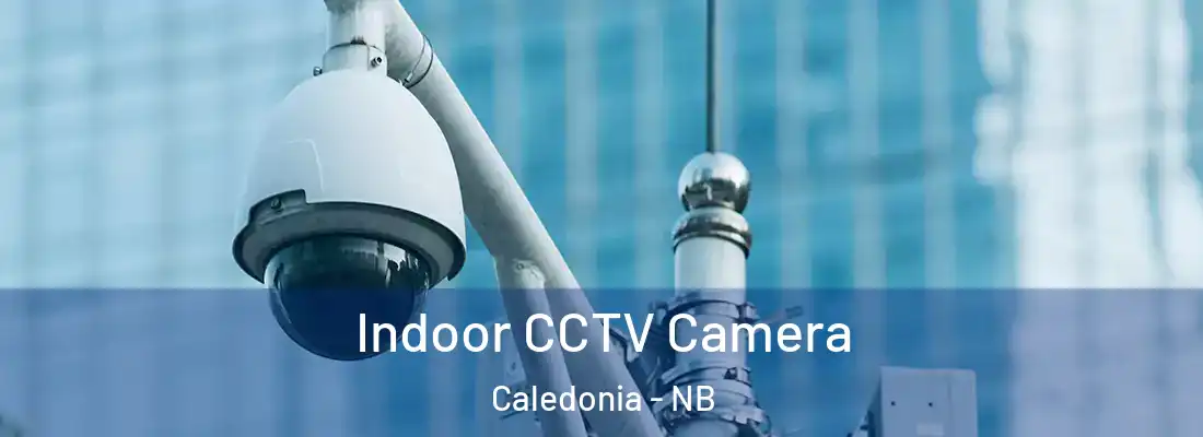  Indoor CCTV Camera Caledonia - NB