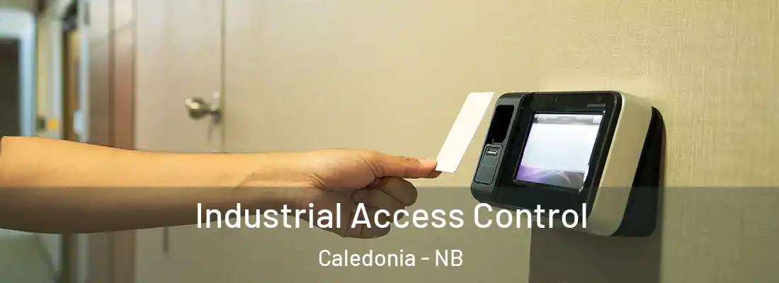  Industrial Access Control Caledonia - NB
