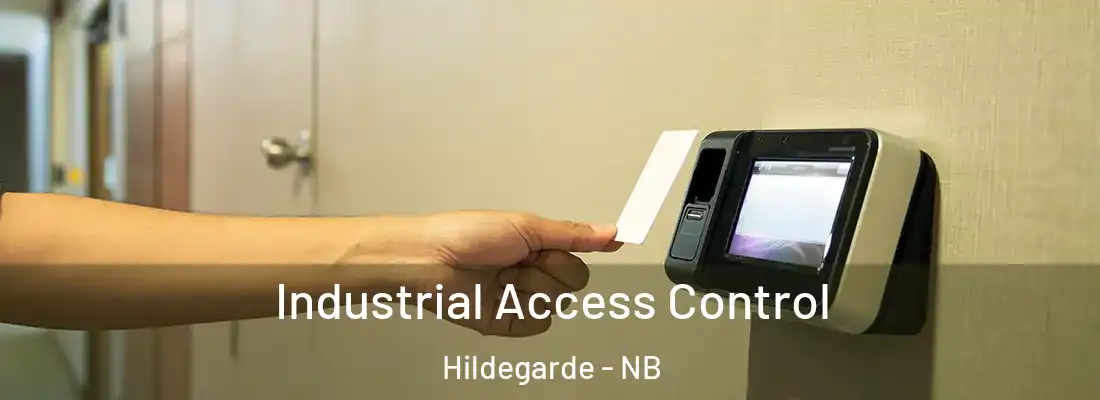  Industrial Access Control Hildegarde - NB