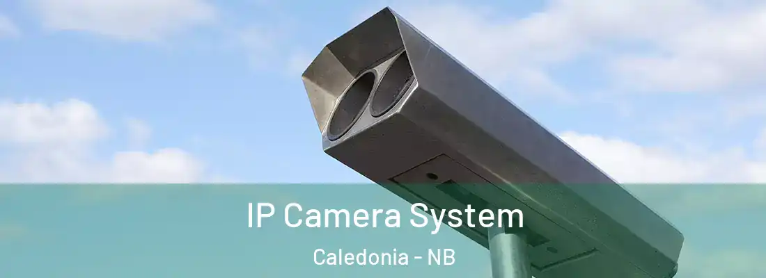  IP Camera System Caledonia - NB