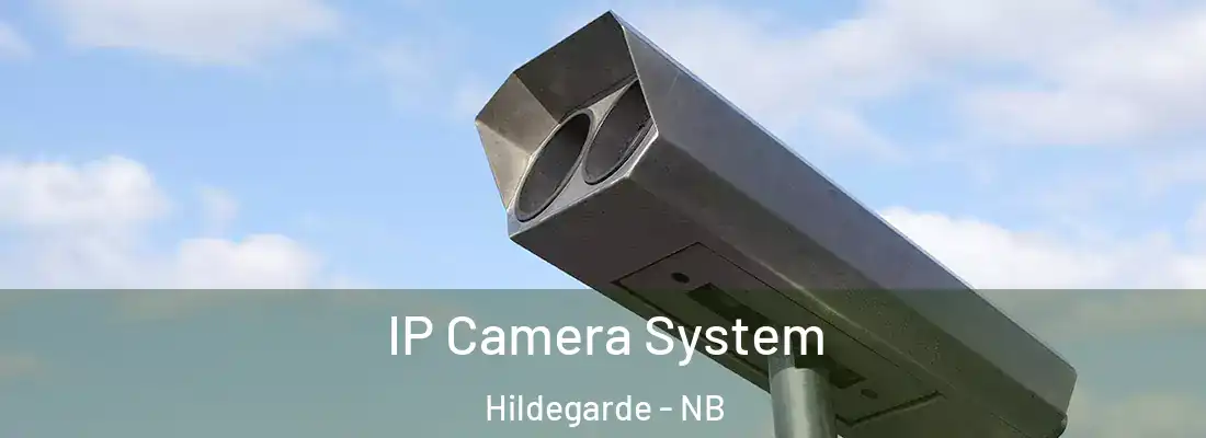  IP Camera System Hildegarde - NB