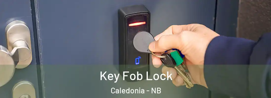  Key Fob Lock Caledonia - NB