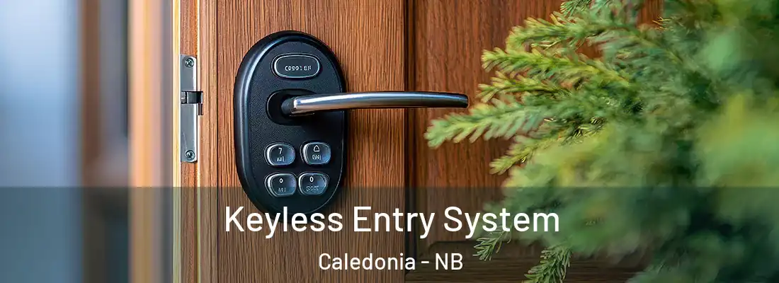  Keyless Entry System Caledonia - NB