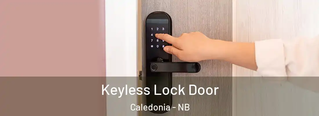  Keyless Lock Door Caledonia - NB