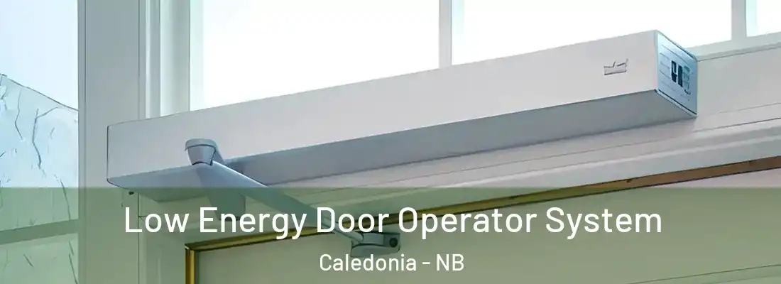  Low Energy Door Operator System Caledonia - NB