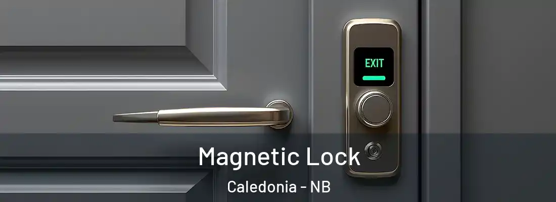  Magnetic Lock Caledonia - NB