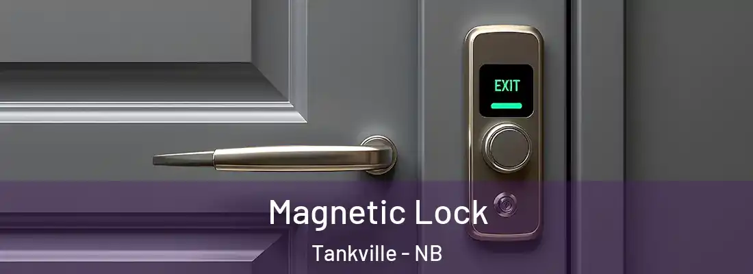 Magnetic Lock Tankville - NB