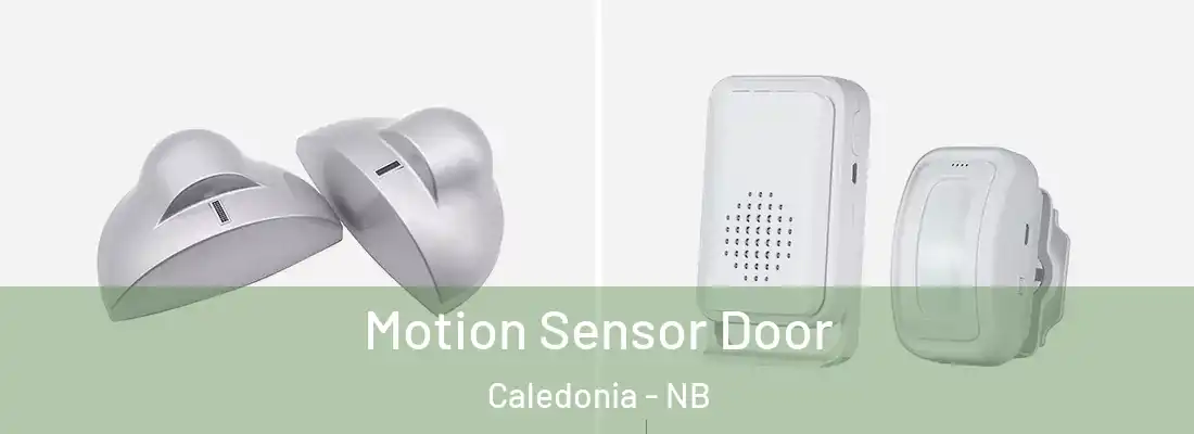  Motion Sensor Door Caledonia - NB