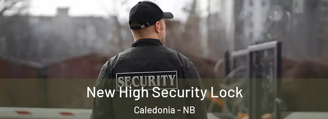  New High Security Lock Caledonia - NB