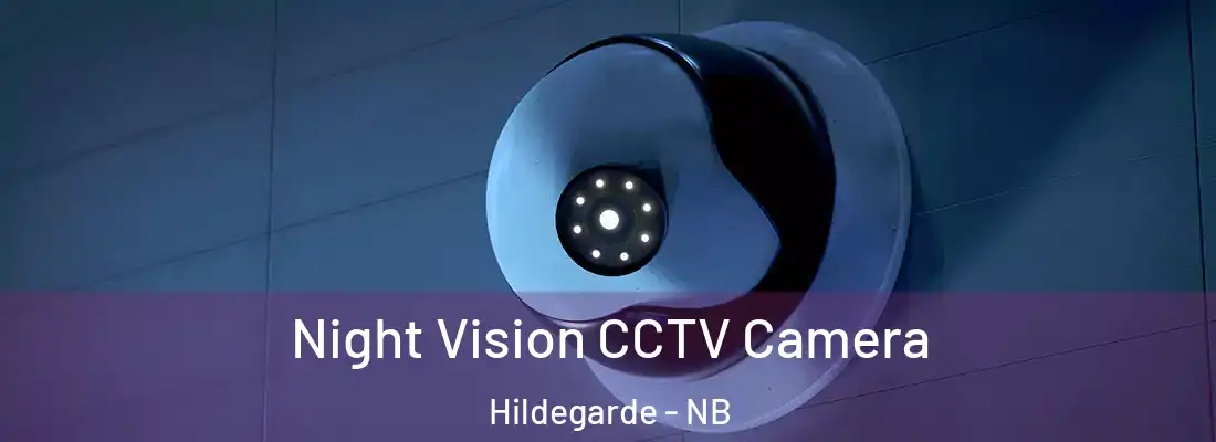  Night Vision CCTV Camera Hildegarde - NB