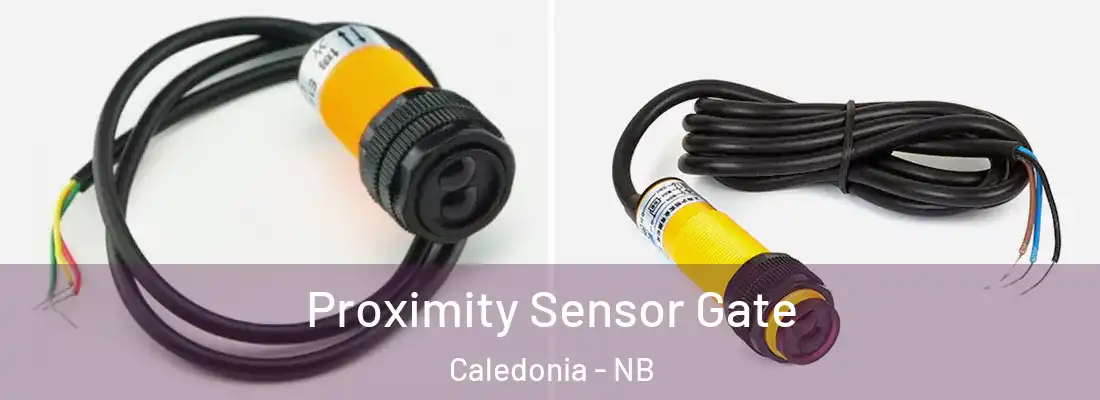  Proximity Sensor Gate Caledonia - NB