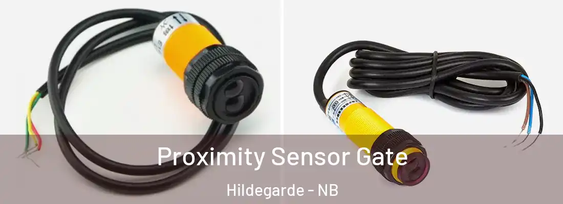  Proximity Sensor Gate Hildegarde - NB