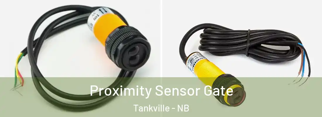  Proximity Sensor Gate Tankville - NB