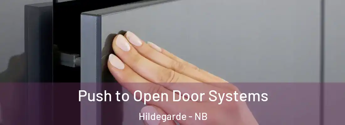  Push to Open Door Systems Hildegarde - NB