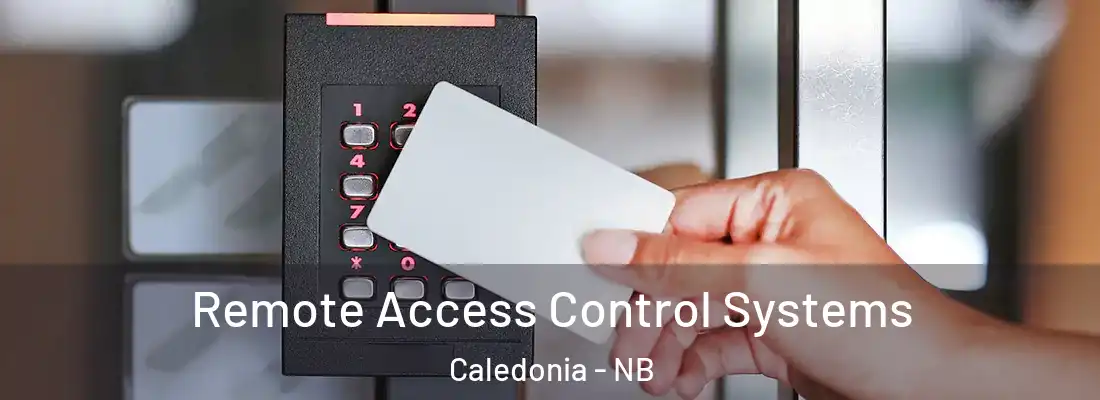  Remote Access Control Systems Caledonia - NB