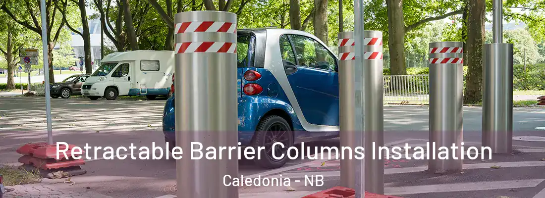  Retractable Barrier Columns Installation Caledonia - NB