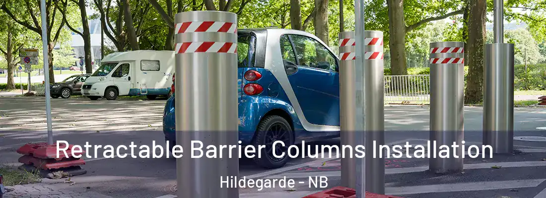  Retractable Barrier Columns Installation Hildegarde - NB
