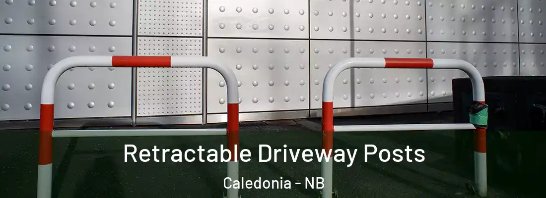  Retractable Driveway Posts Caledonia - NB