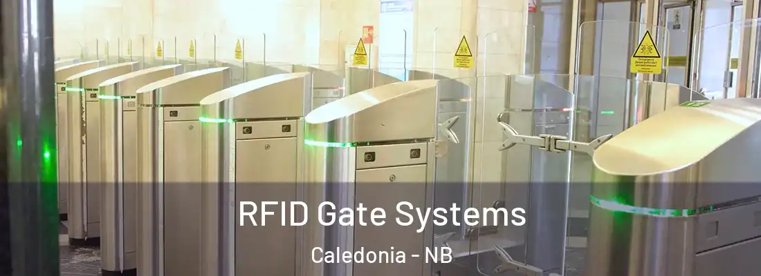  RFID Gate Systems Caledonia - NB