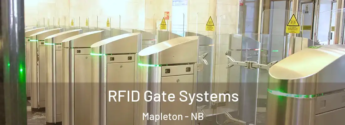  RFID Gate Systems Mapleton - NB