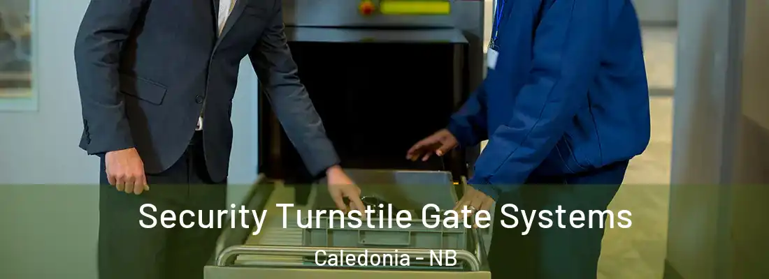  Security Turnstile Gate Systems Caledonia - NB
