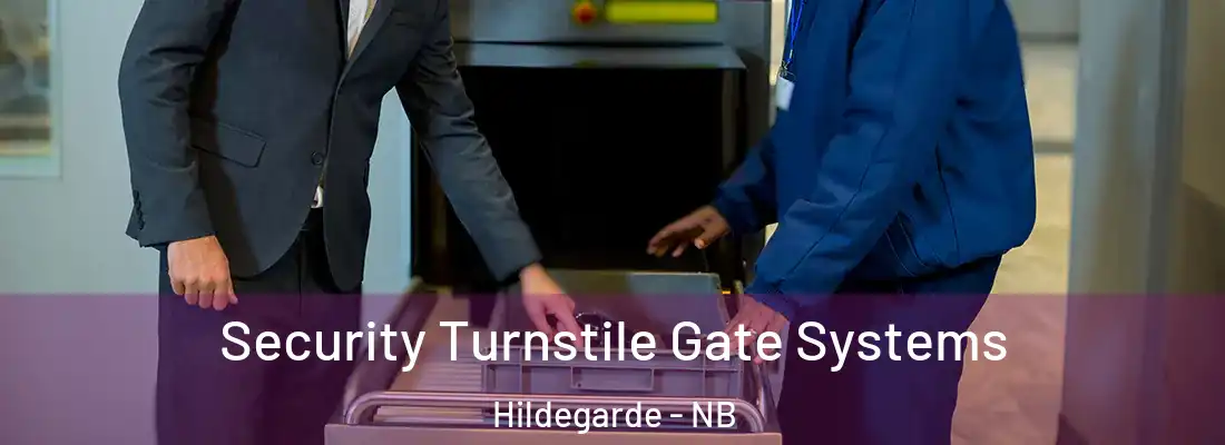 Security Turnstile Gate Systems Hildegarde - NB