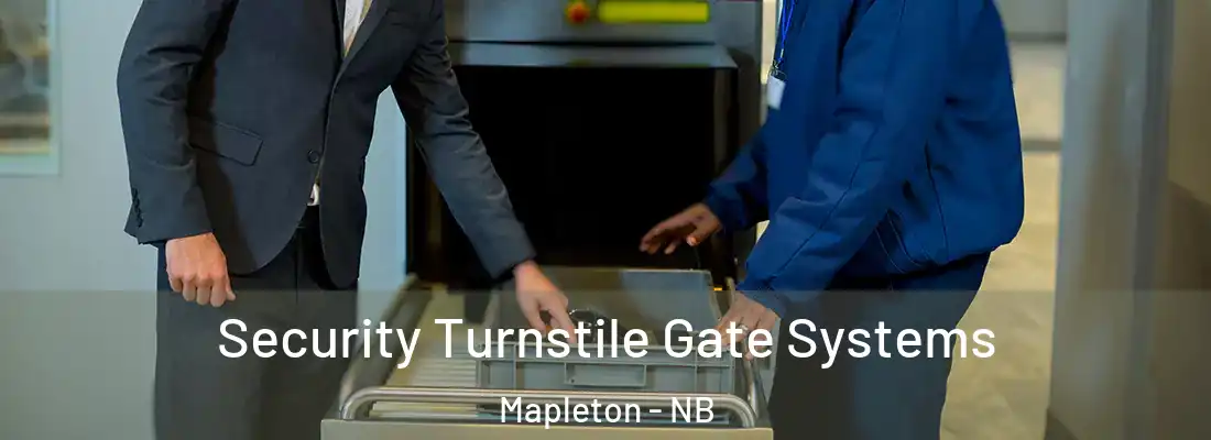  Security Turnstile Gate Systems Mapleton - NB