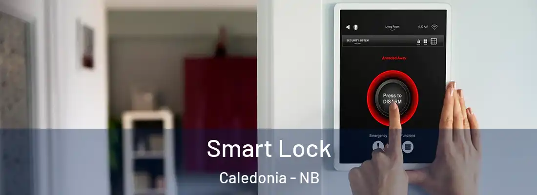  Smart Lock Caledonia - NB