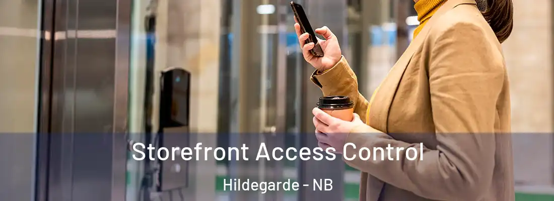  Storefront Access Control Hildegarde - NB